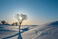 Tumore del seno: impatto sulla qualità dell'orgasmo